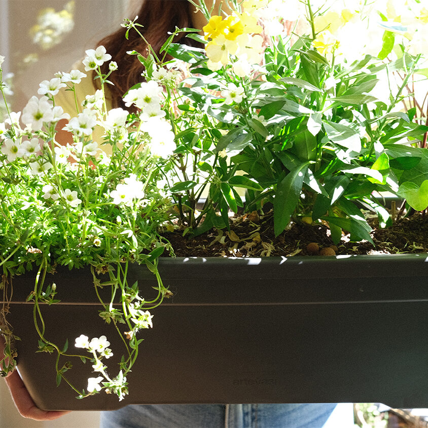 Jardinières pour fenêtres et balcon prêtes à poser