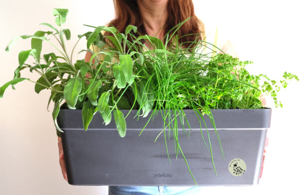 Jardinières pour fenêtres et balcon prêtes à poser