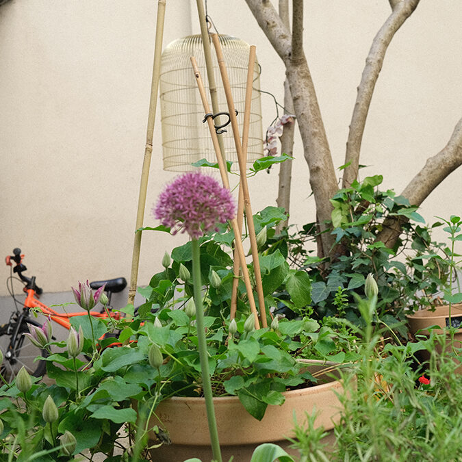 Jardinières pour fenêtres et balcon prêtes à poser