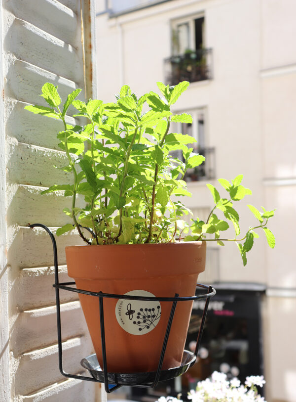 Jardinières pour fenêtres et balcon prêtes à poser