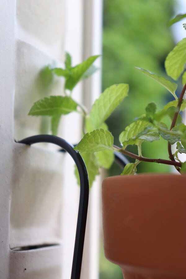 Jardinières pour fenêtres et balcon prêtes à poser