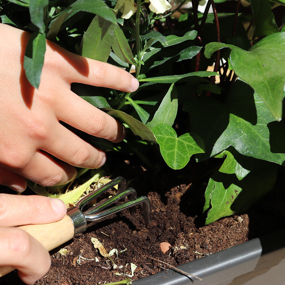 Jardinières pour fenêtres et balcon prêtes à poser