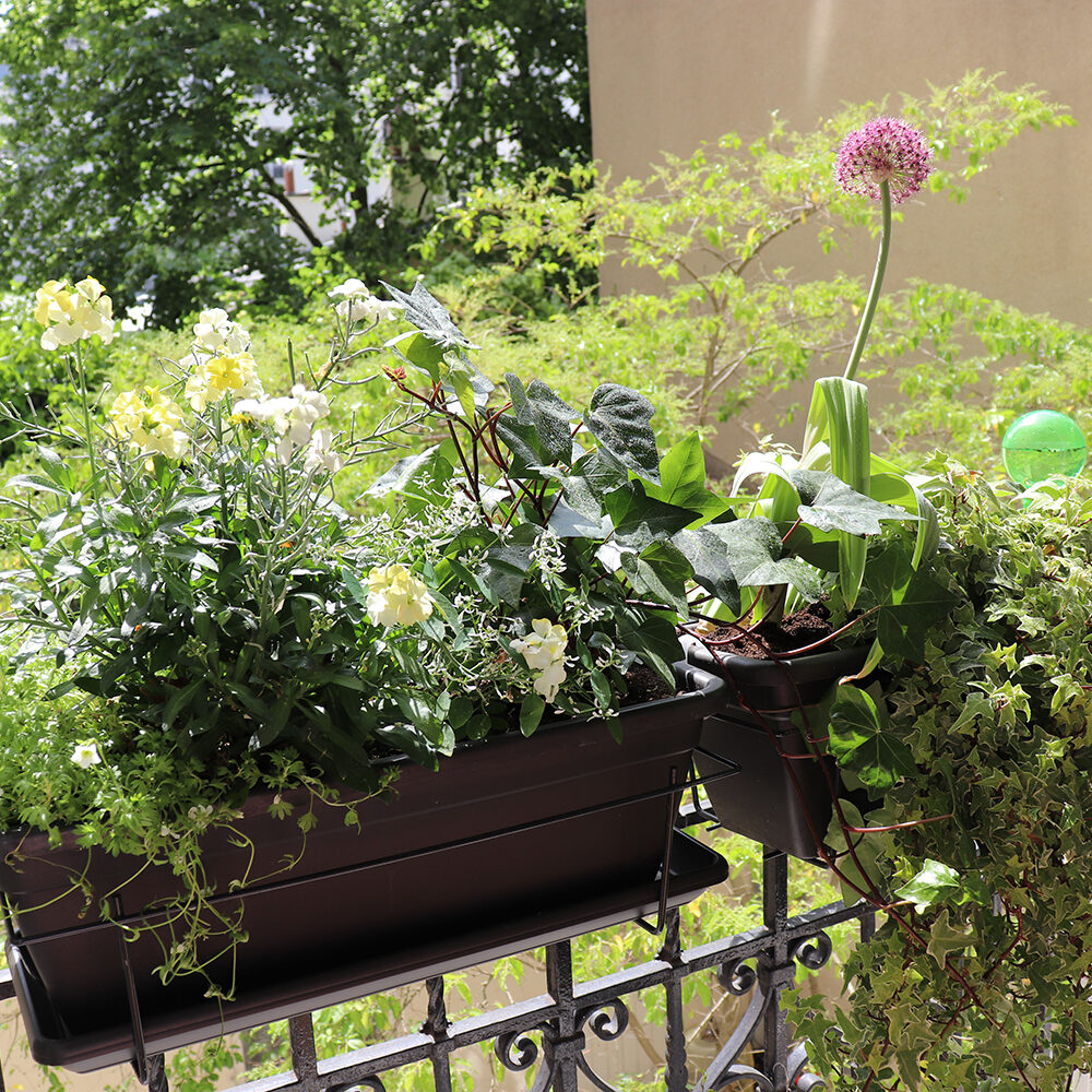 Jardinières pour fenêtres et balcon prêtes à poser