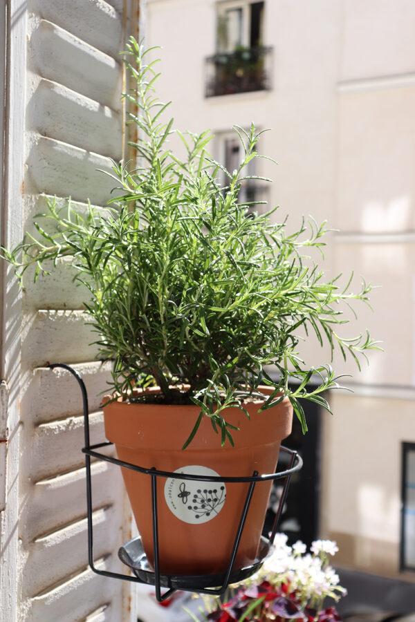 Jardinières pour fenêtres et balcon prêtes à poser